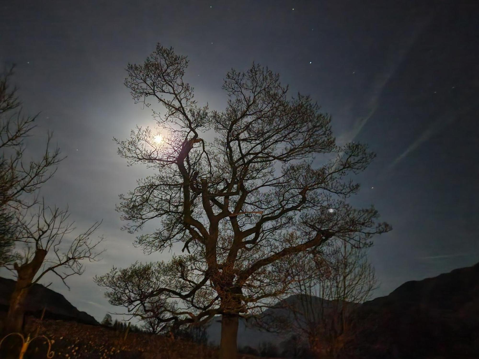 Blea Tarn Farmhouse B&B Ambleside Bagian luar foto
